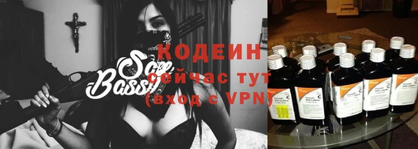 дмт Вяземский
