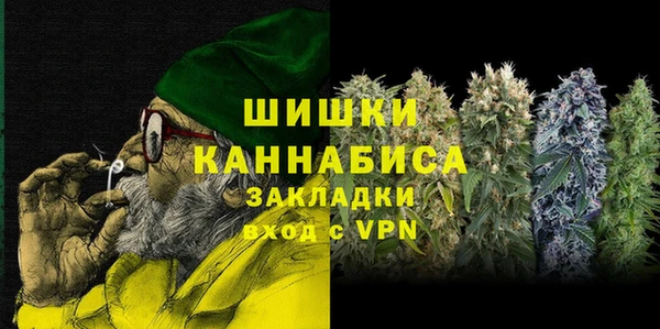 дмт Вяземский