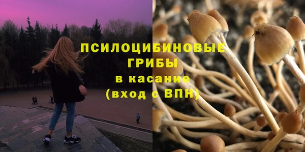 дмт Вяземский