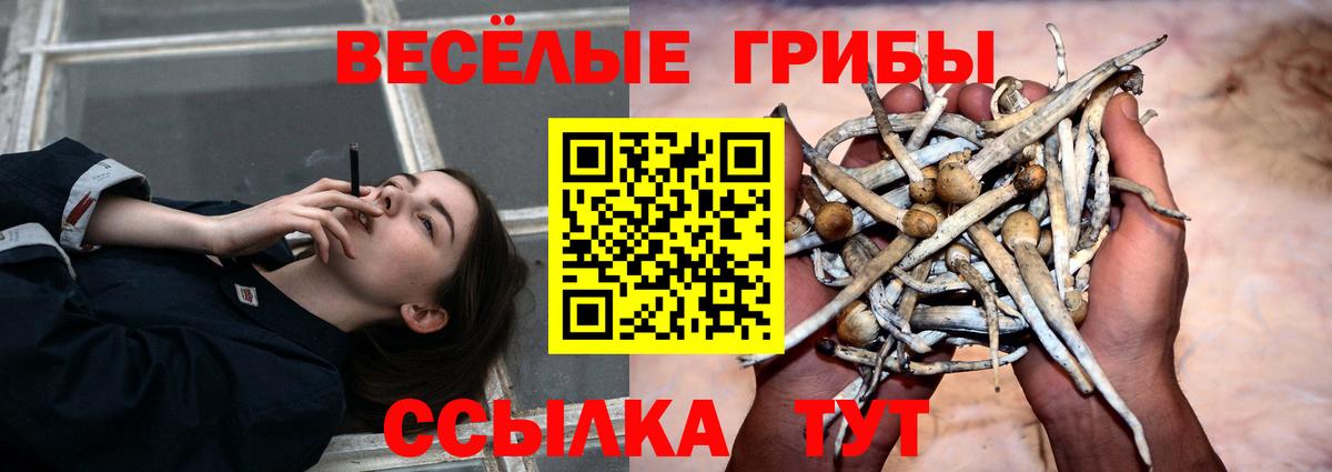 Барабинск  Галлюциногенные грибы прущие грибы  Вход с VPN 