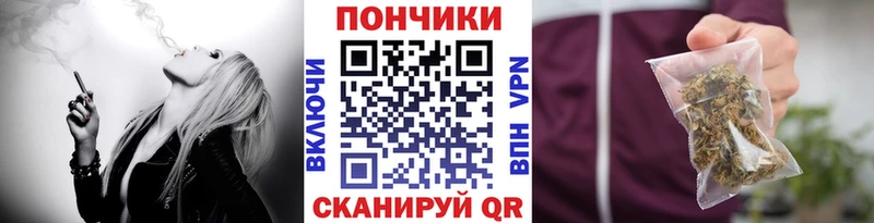 Канабис план  купить наркотики сайты  Барабинск 